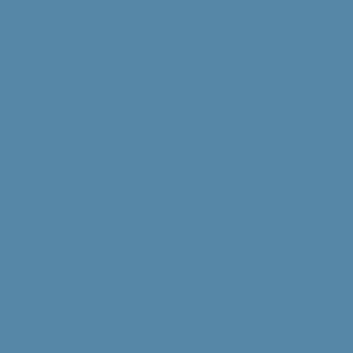 blue vlak